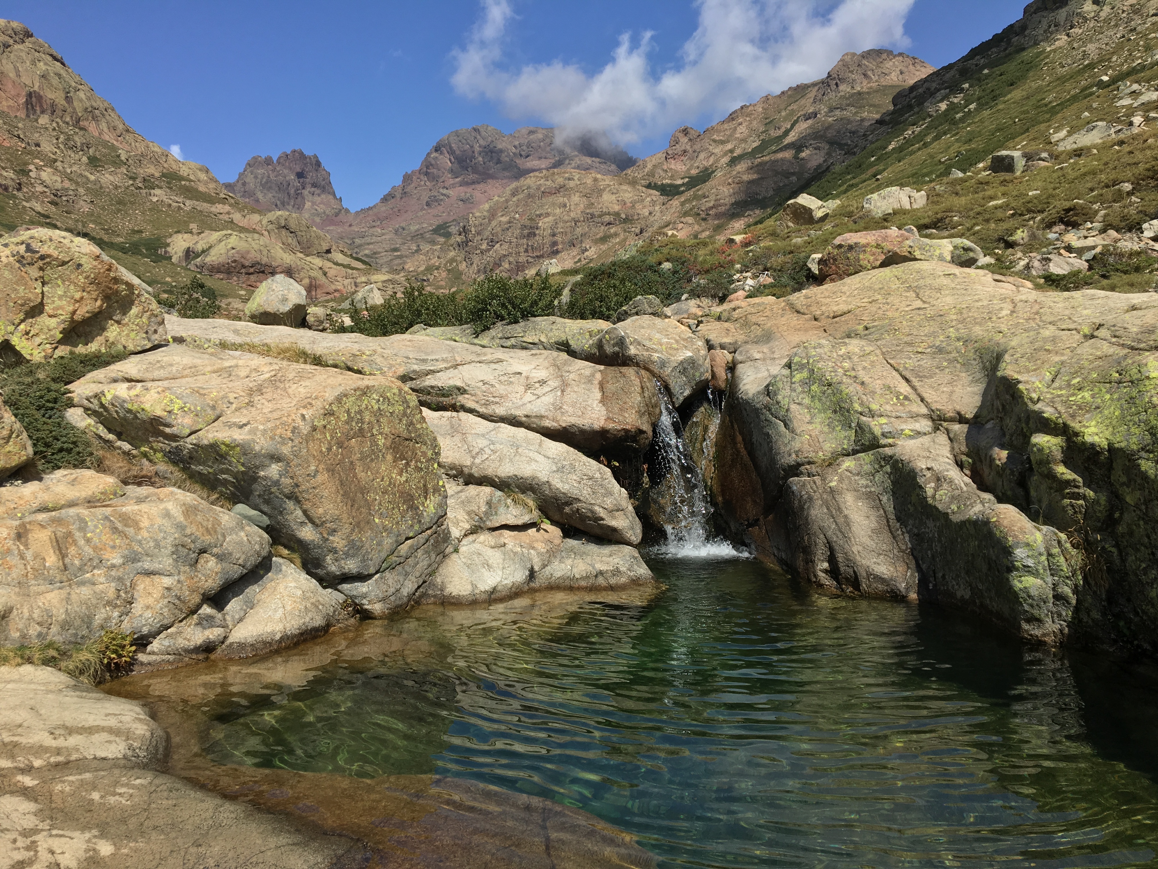 Sektionsfenster Esther 01