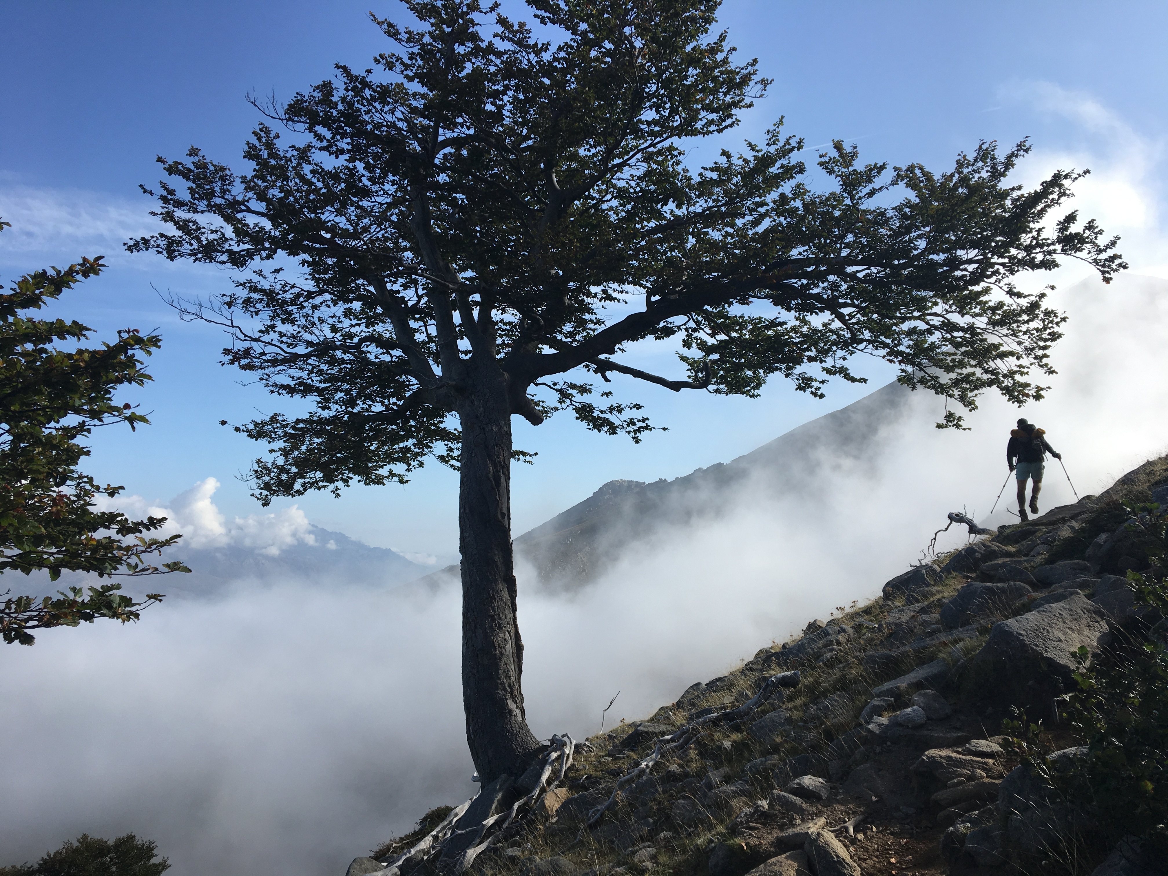 Sektionsfenster Esther 02