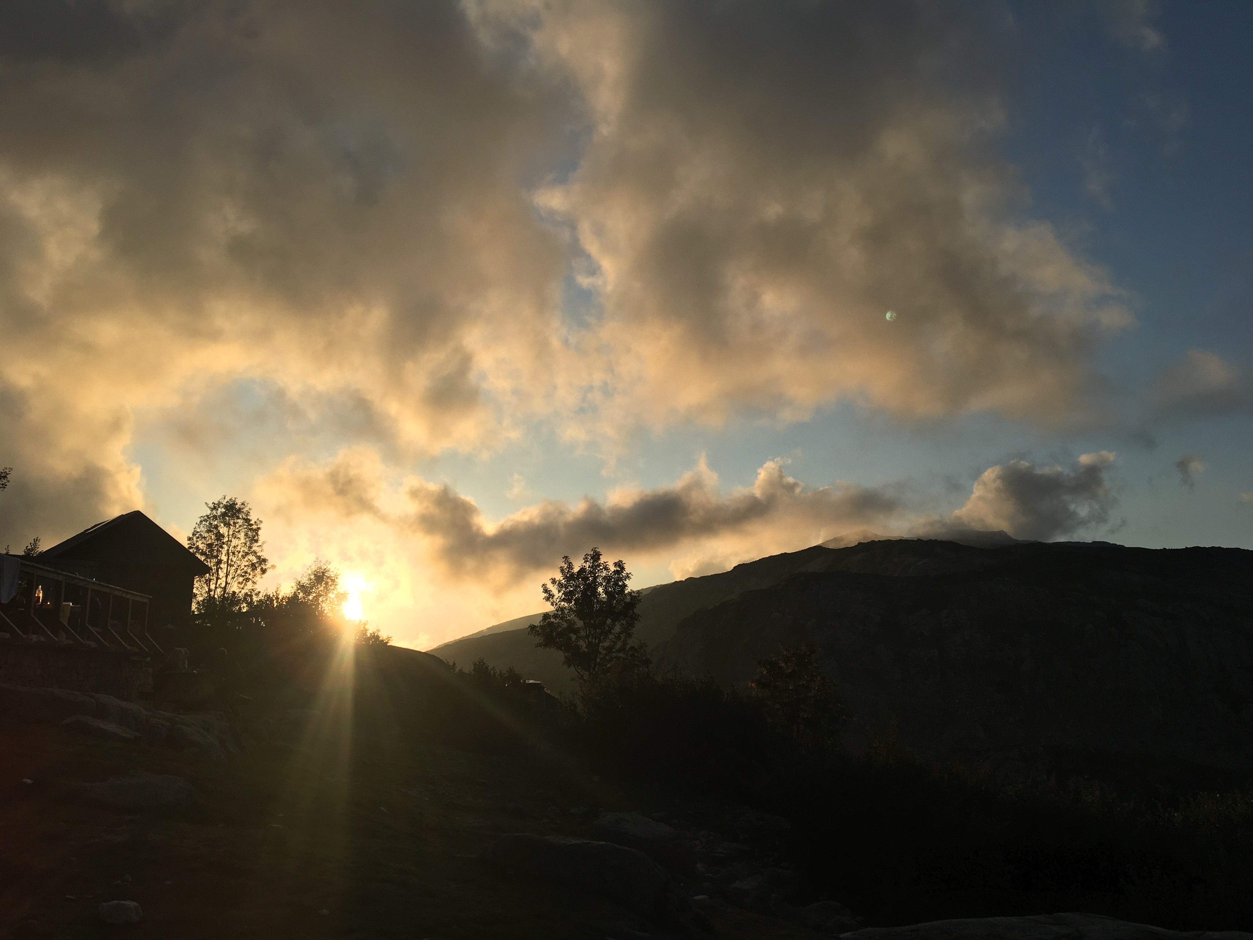 Sektionsfenster Esther 03