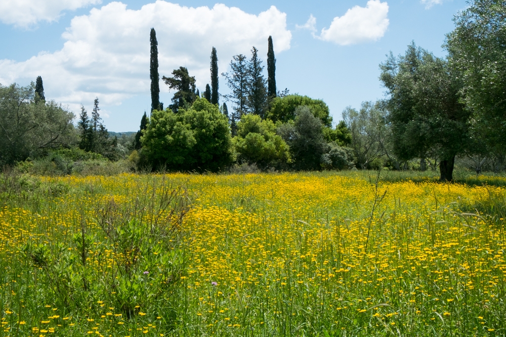 Sektionsfenster Korfu 01