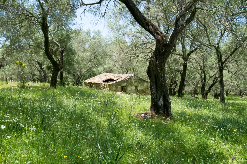 Sektionsfenster Korfu 02