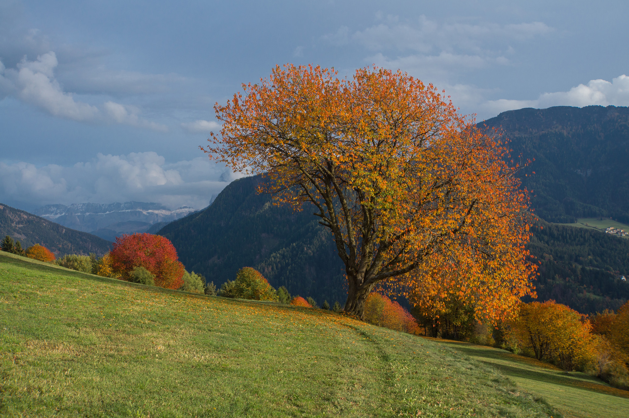 Herbst groednertal