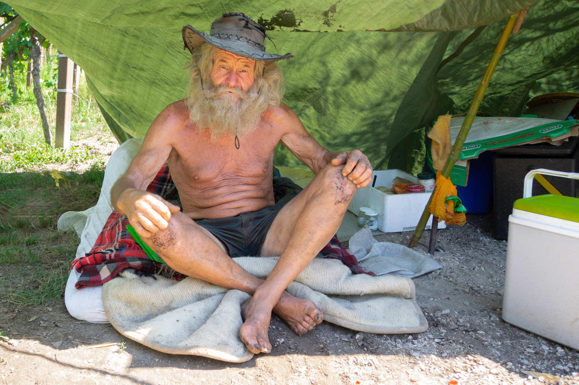 Kurt hans von wohlgemuth