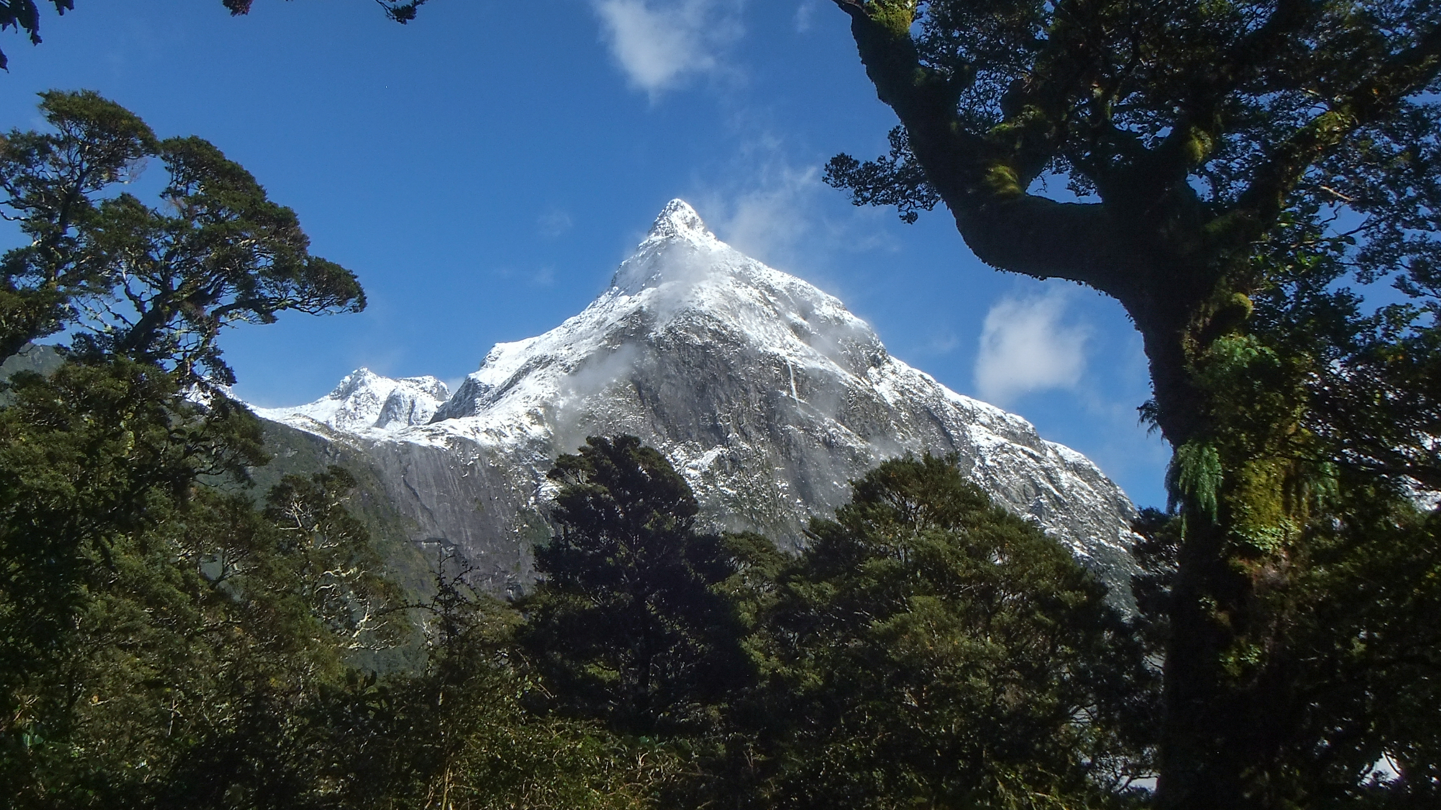 Pressebild milford track