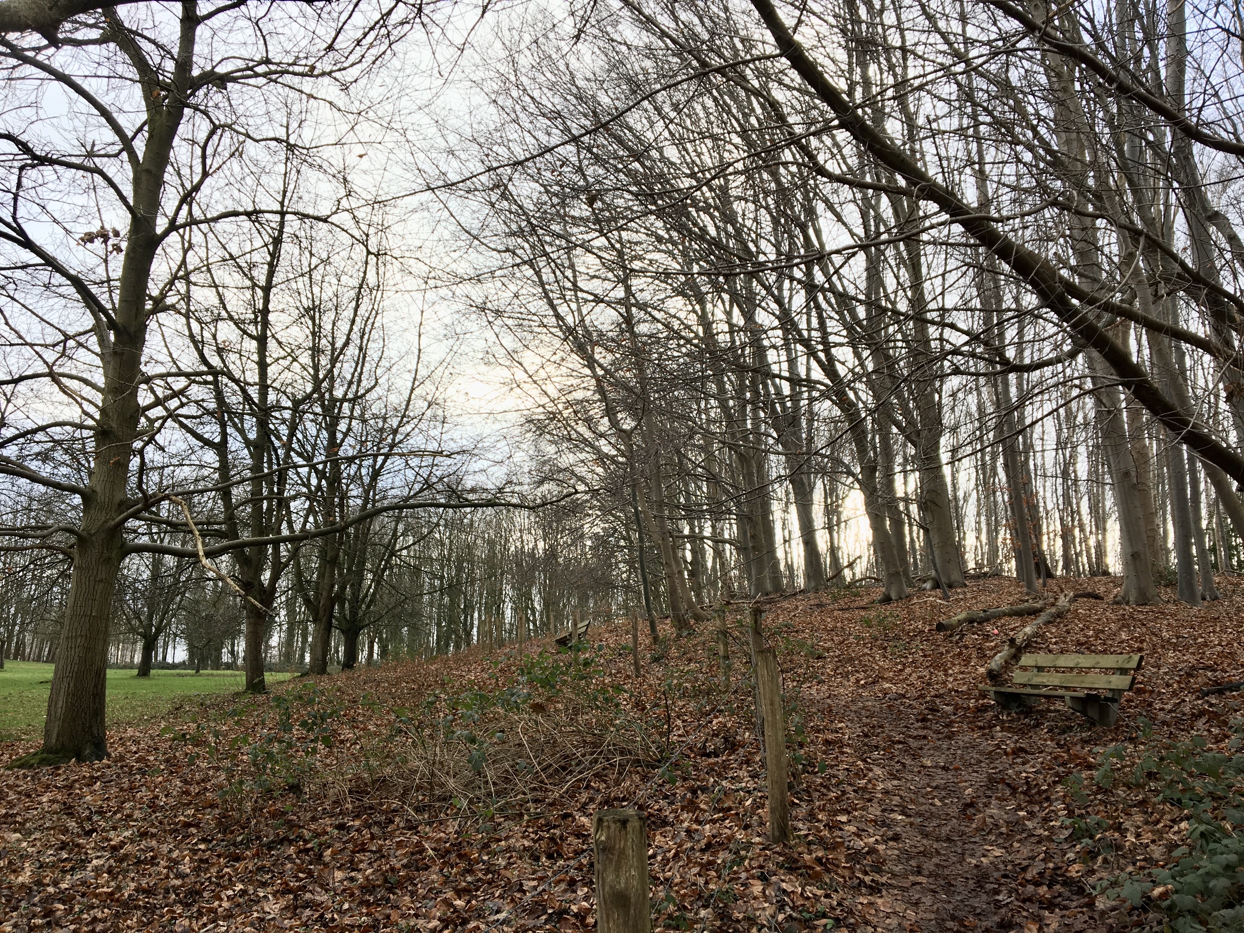 2022 dmt 15 Bergauf an zwei Bänken