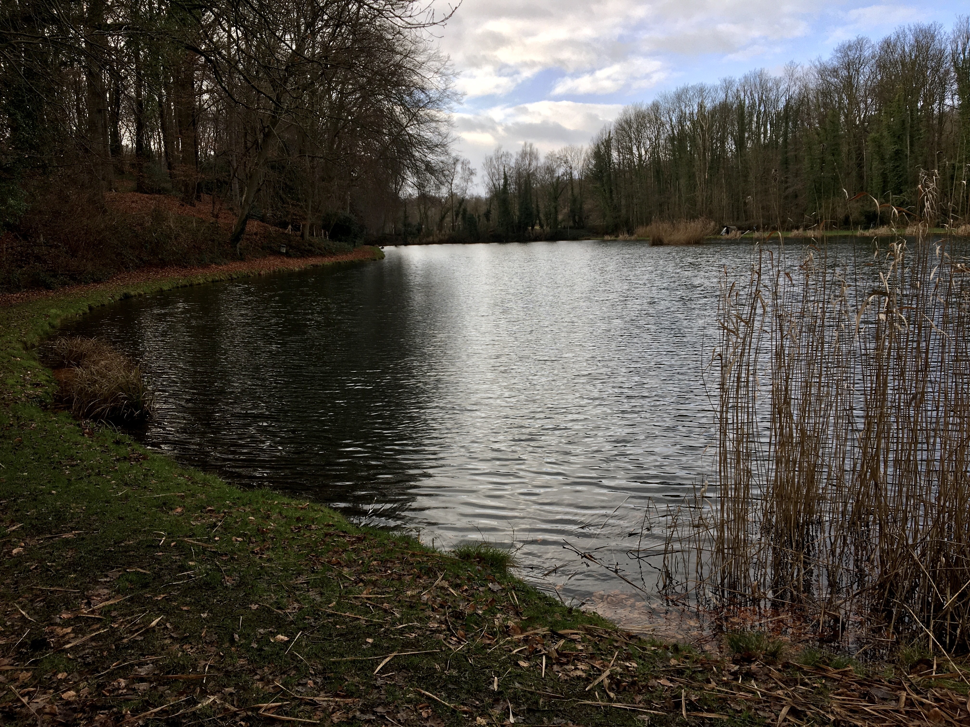 2022 dmt 18 Erster von vier Teichen