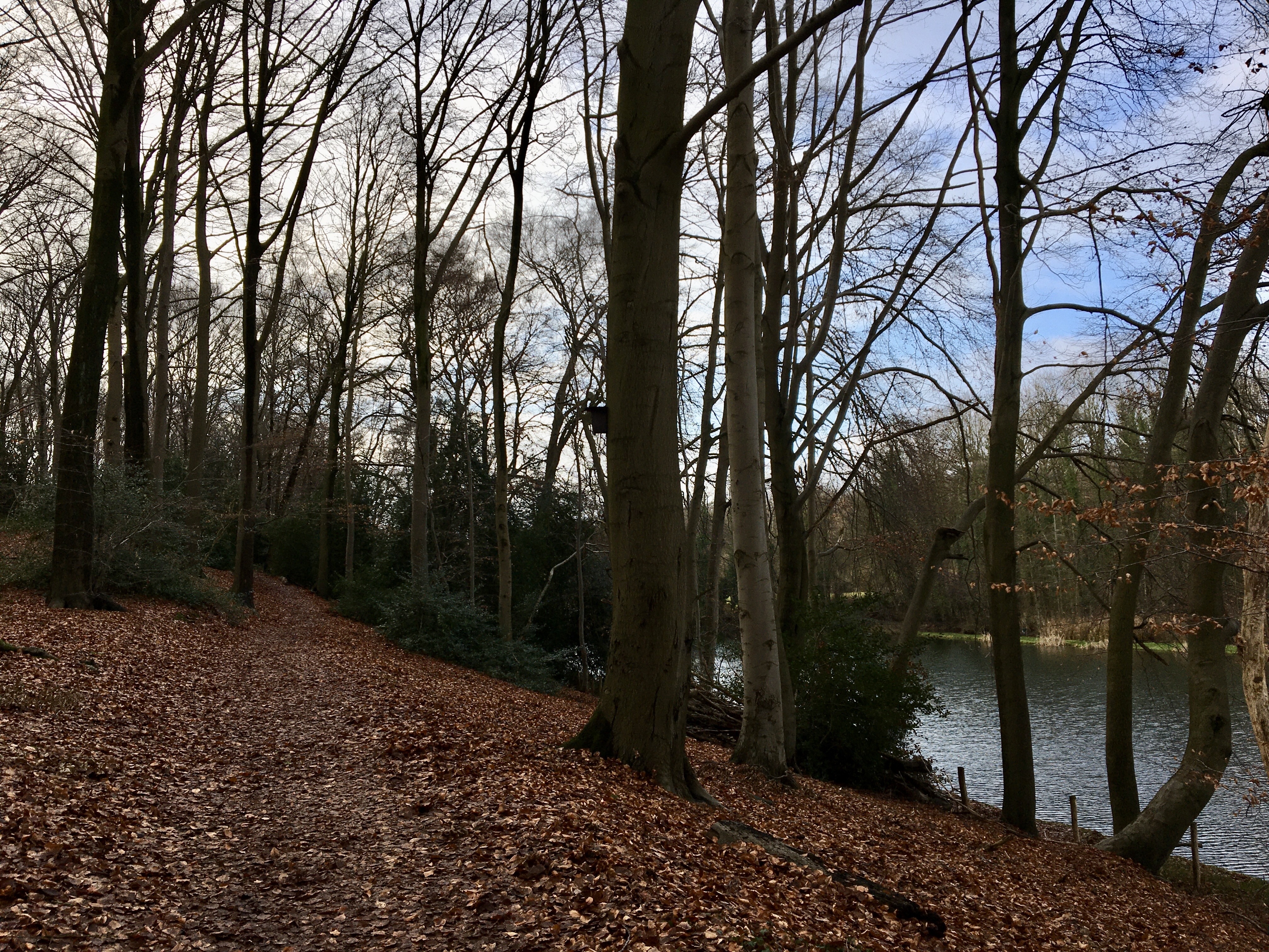 2022 dmt 19 Entlang der Teiche