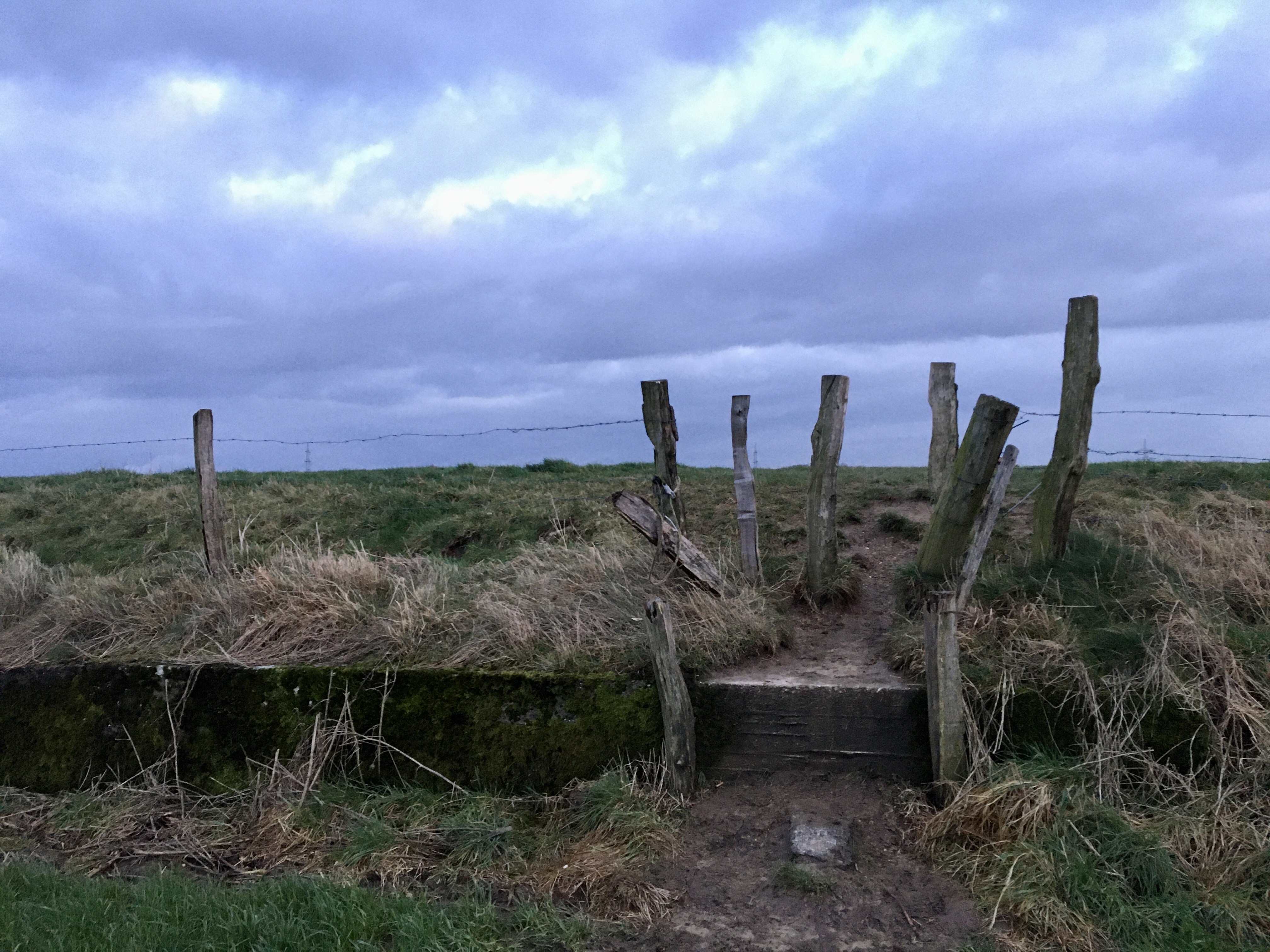 2022 dmt 68 Hohe Stufe mit Verengung