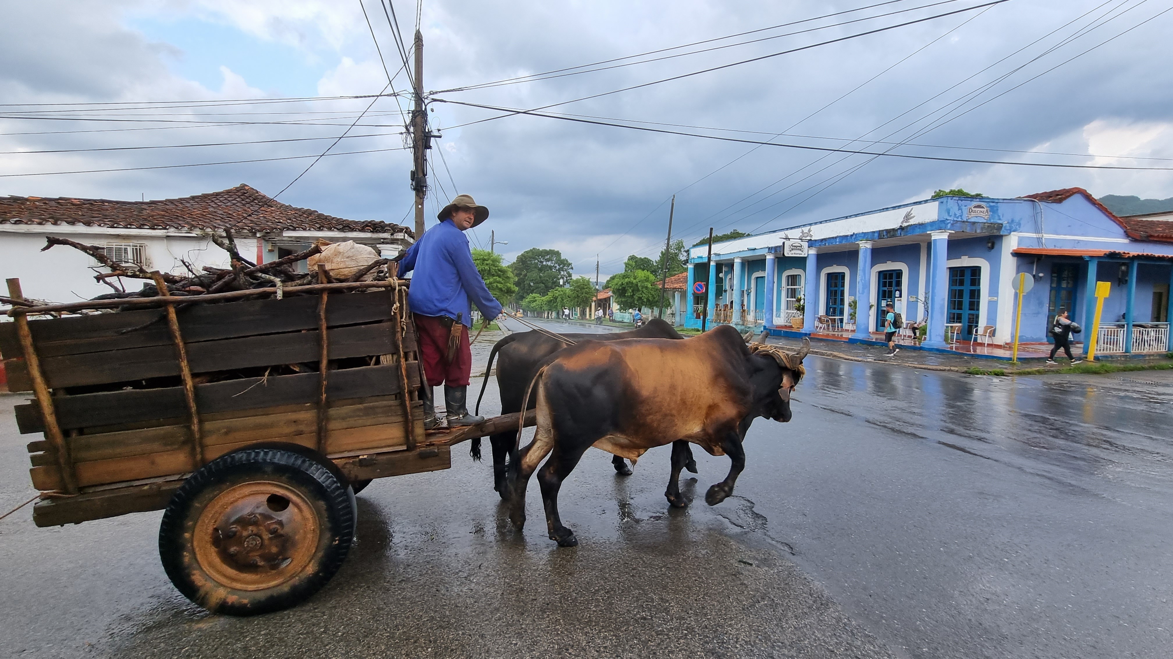 Archaisches Ochsengespann