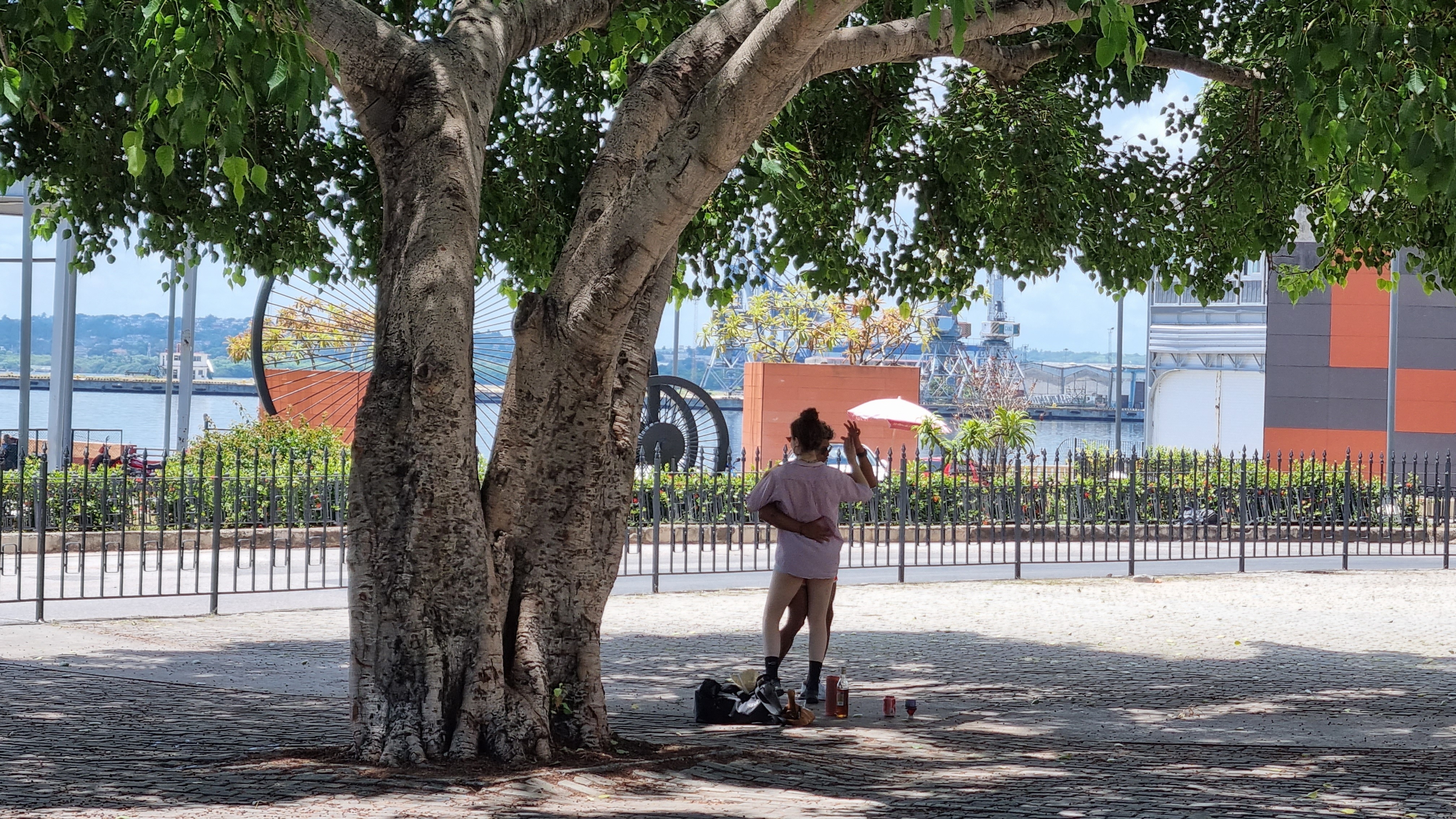 Spontane Tanzstunde bei Cola und Rum